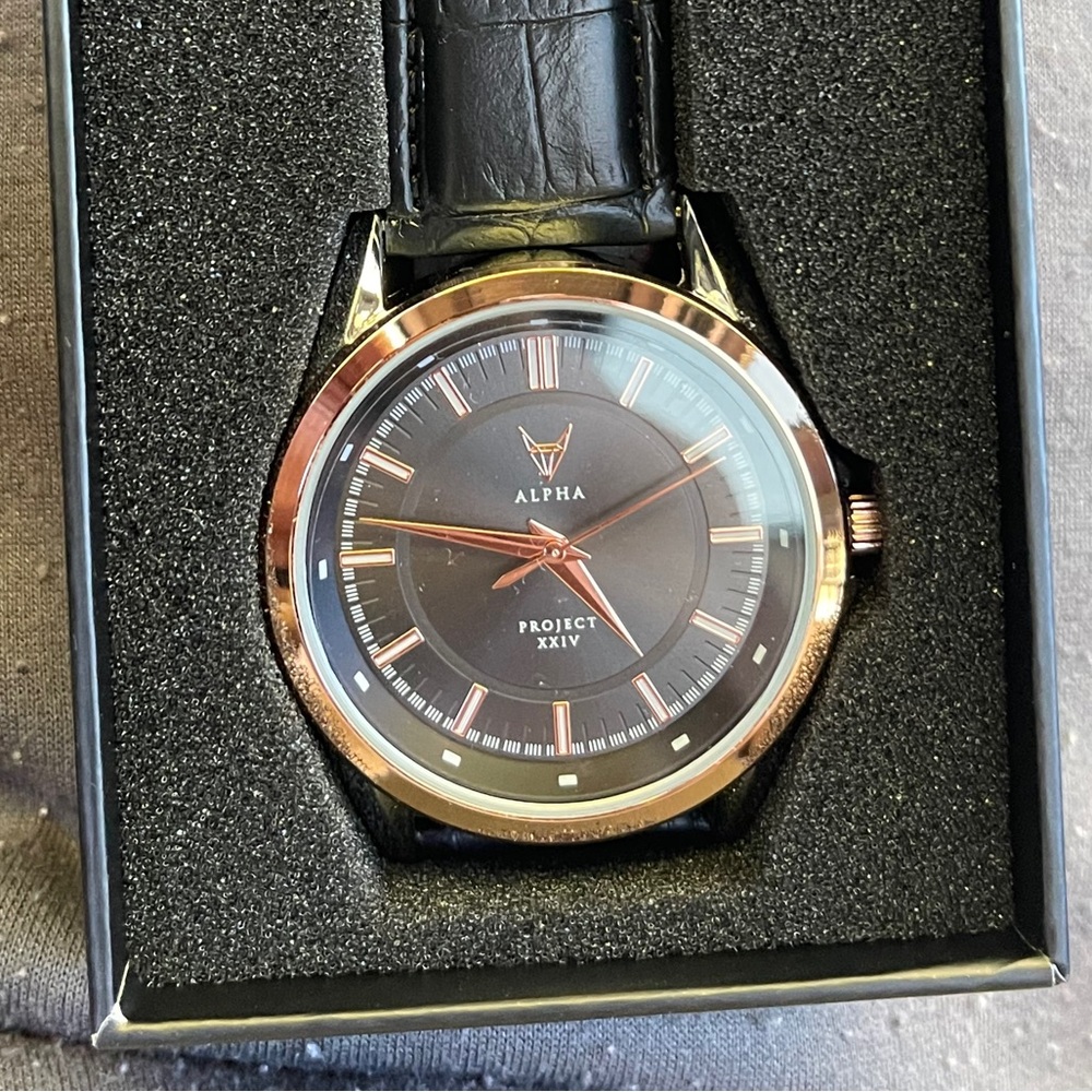 Alpha Project XXIV Black Leather Watch